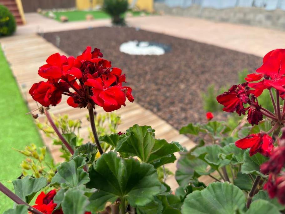 Piera Casa Salud Bed & Breakfast エクステリア 写真